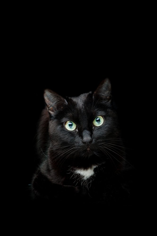 Photograph by Анастасия Селезнева