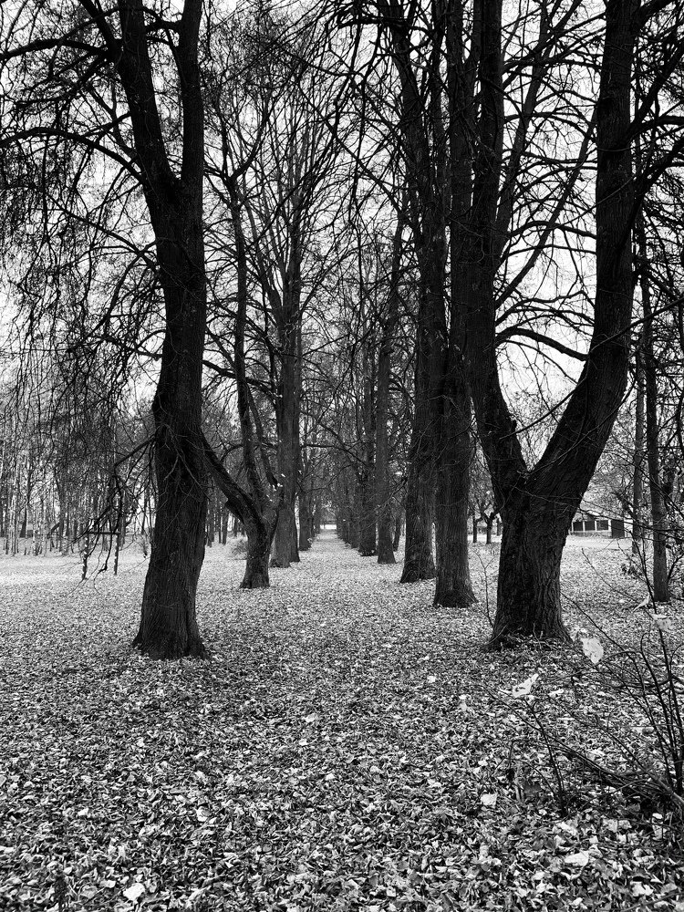 Photograph by Николай Курочкин