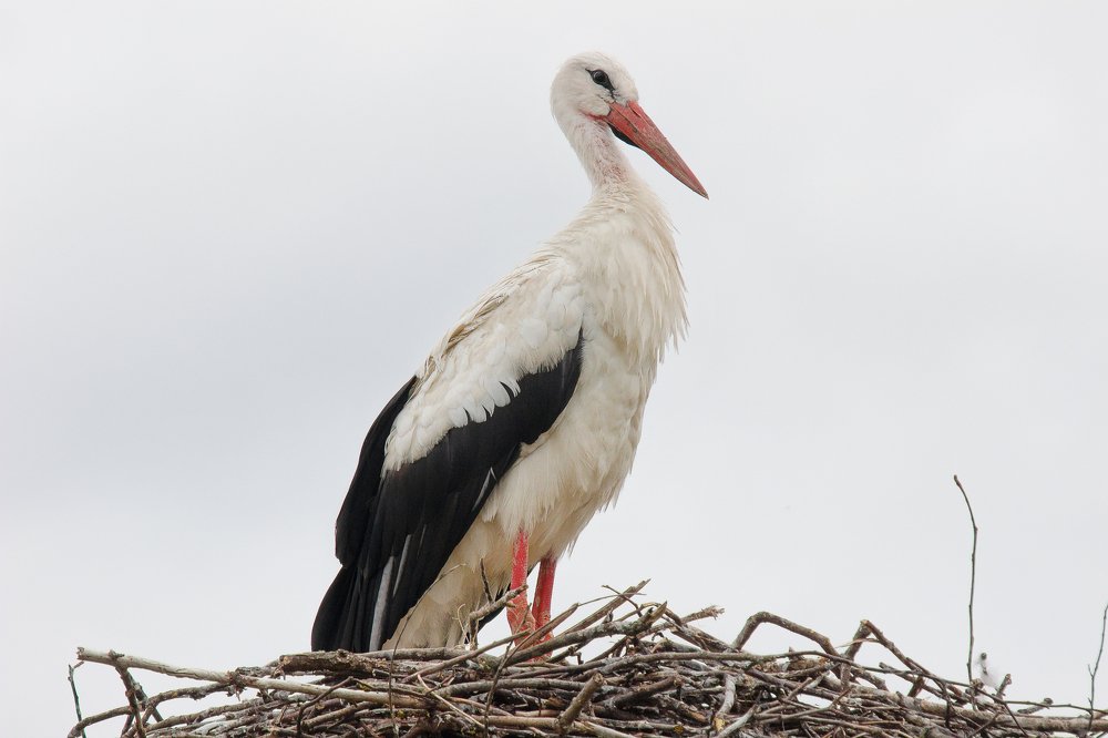 Photograph by Оксана Казакова