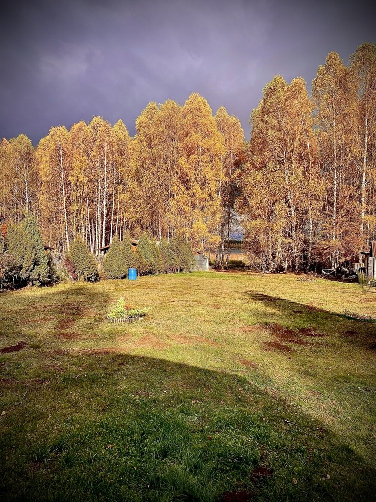 Photograph by Николай Курочкин