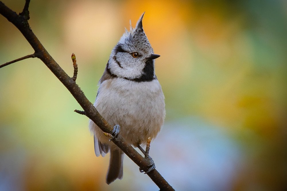 Photograph by Вячеслав Ладанов