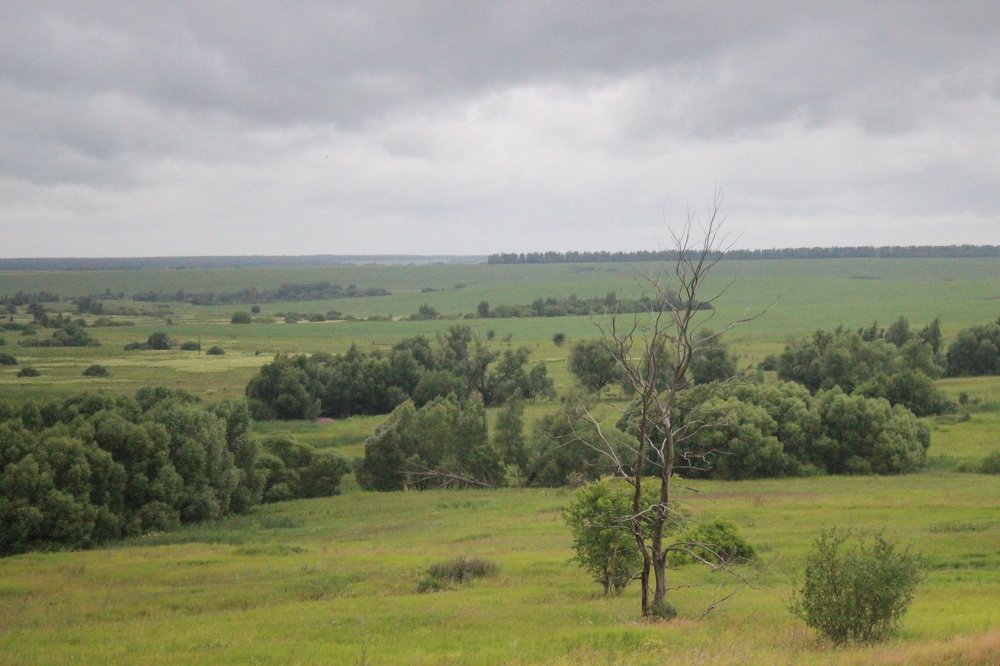 Photograph by Наталья Рыкова