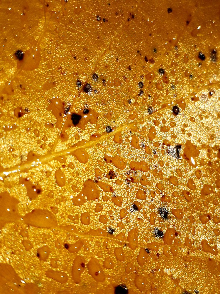 Photograph by Владимир Караман