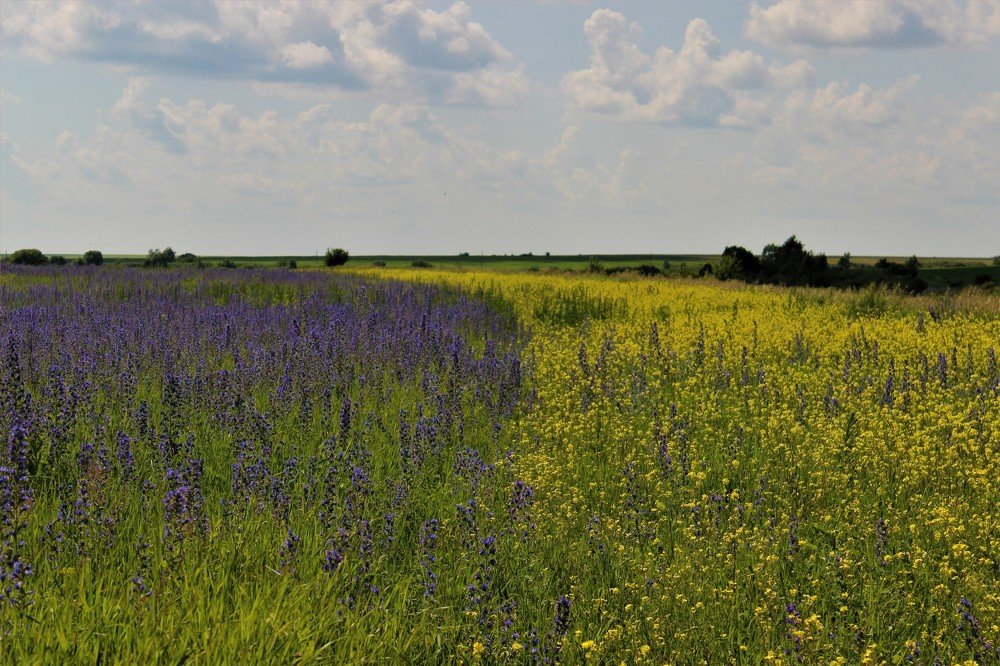 Photograph by Наталья Рыкова