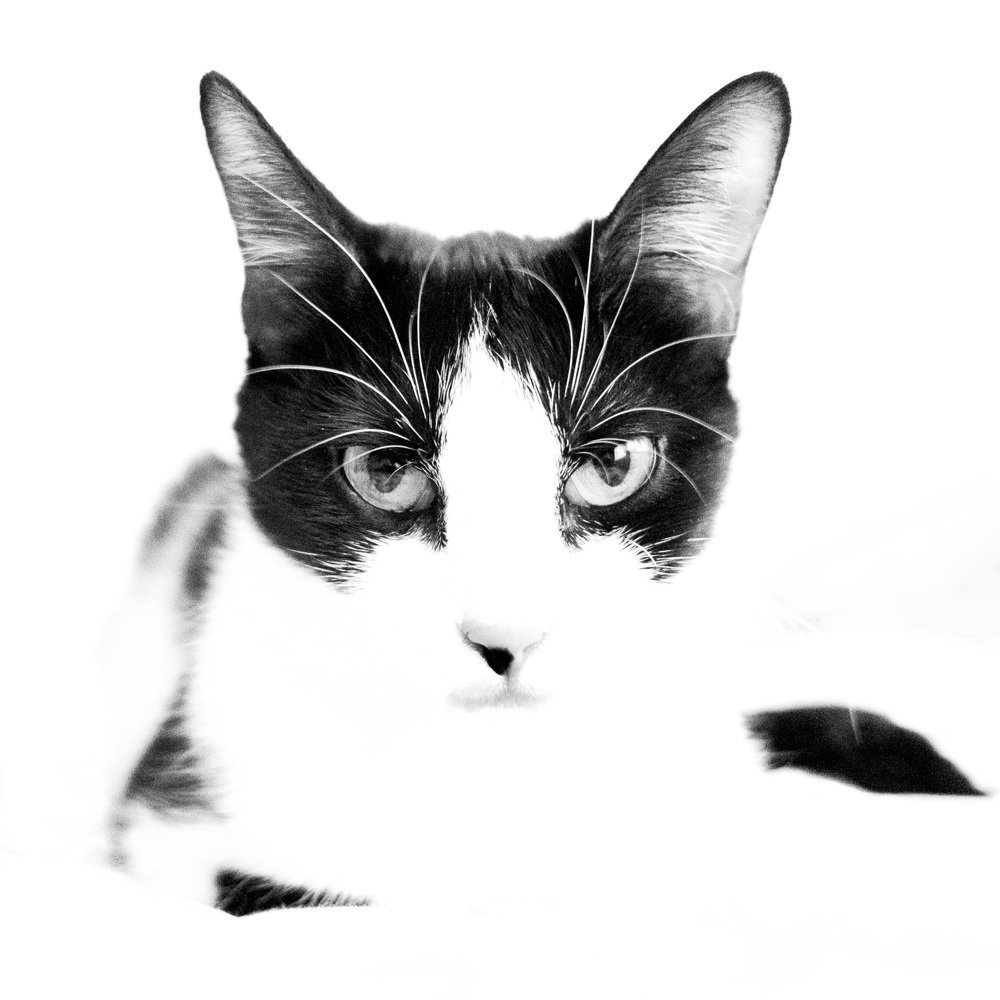 Photograph by Александр Максимов