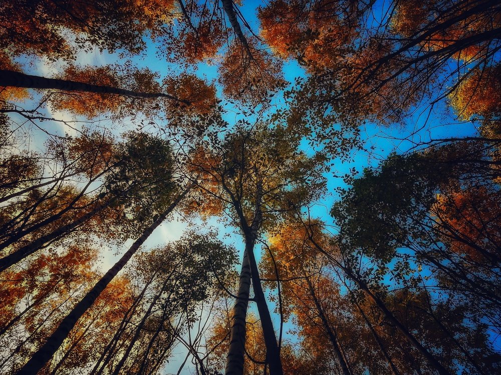 Фотография автора Евгения Снигирева