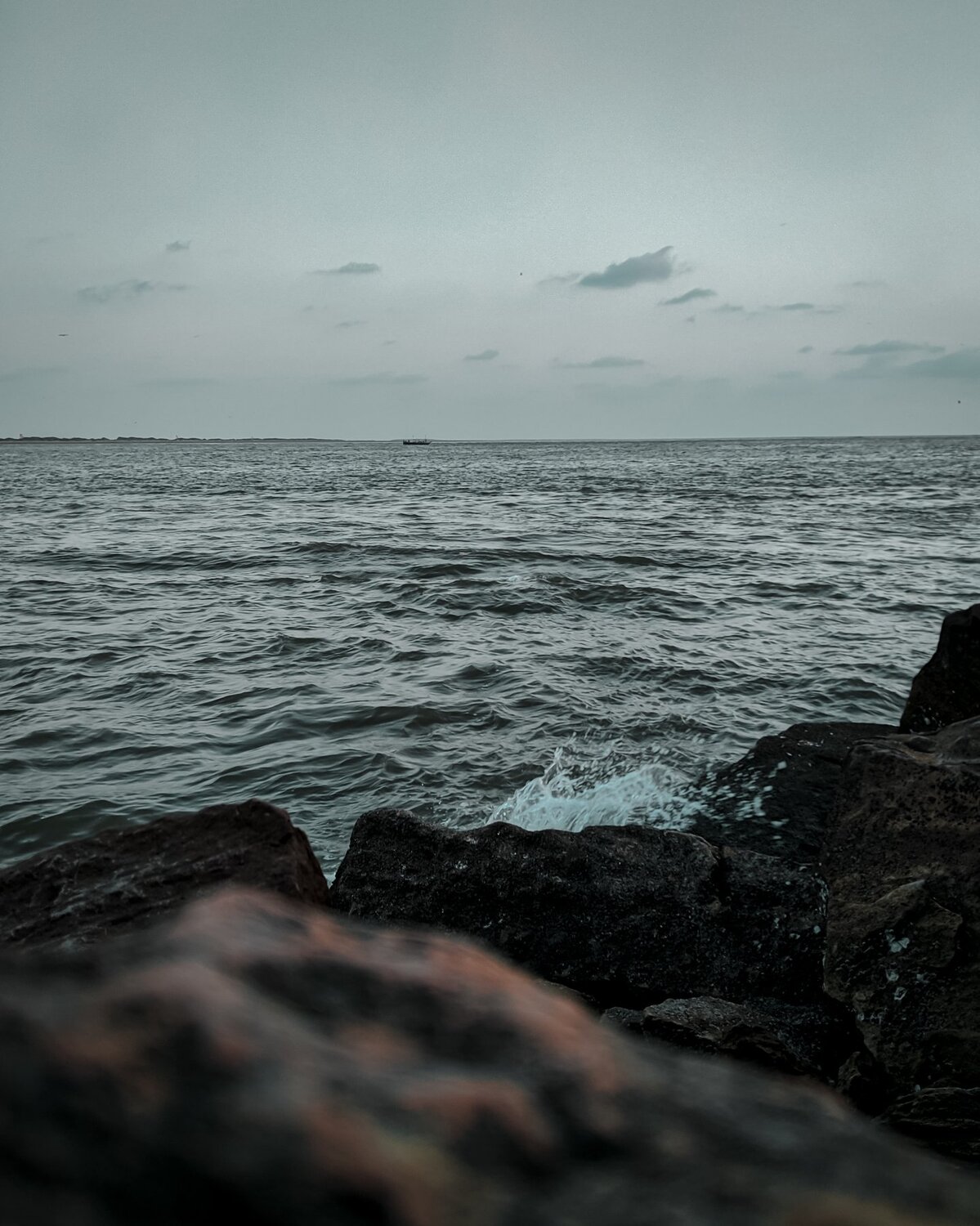 Photo #5204298