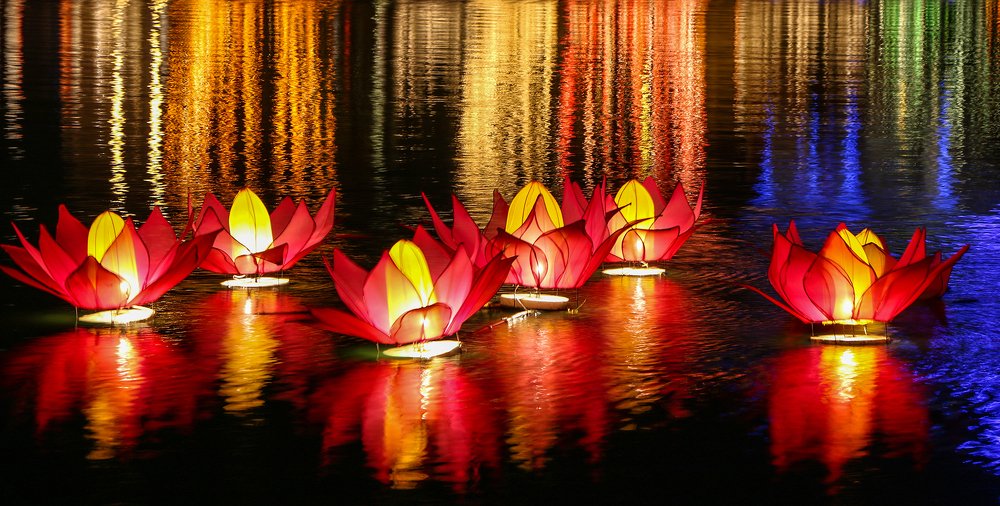 Photograph by Sandamali wimalasena