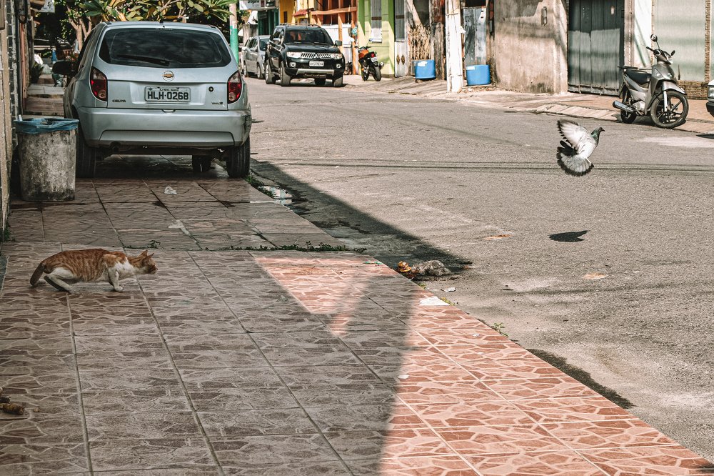 Photograph by Aline Miranda