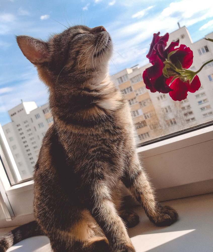 Photograph by Ольга Позняк