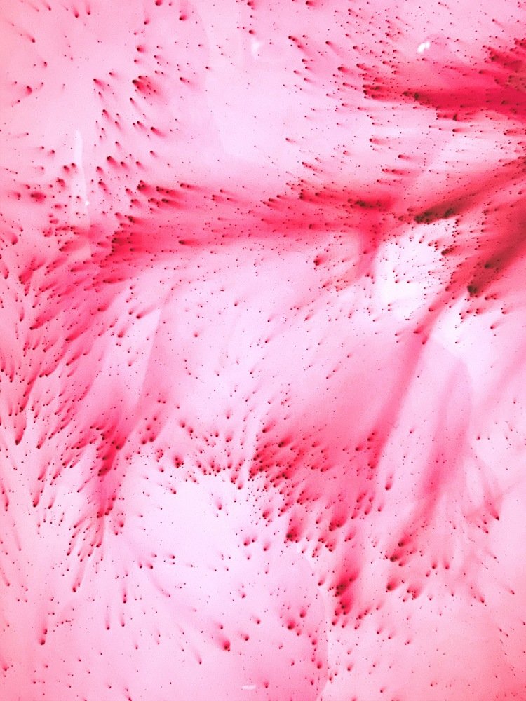 Photograph by Galina