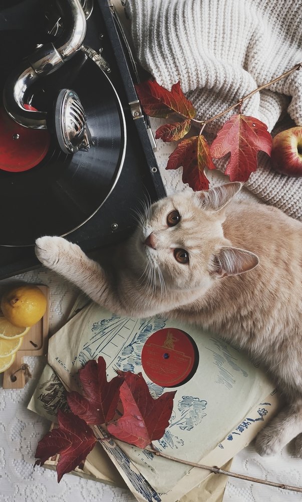 Photograph by Алена Круглик