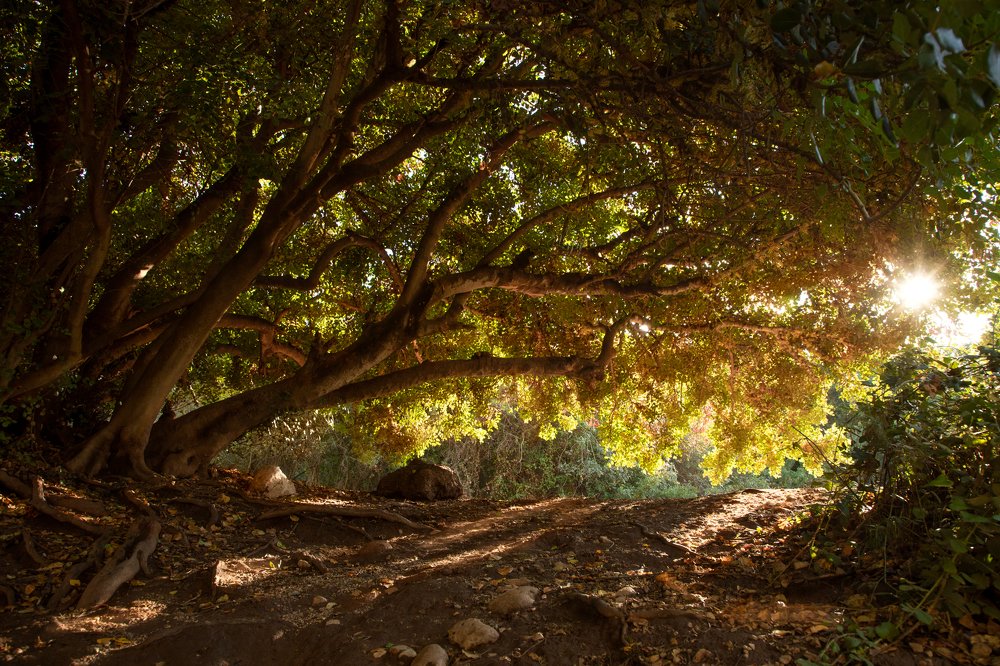 Photograph by Elena Sportes