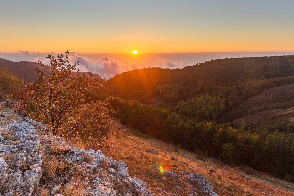 Photograph by Артем