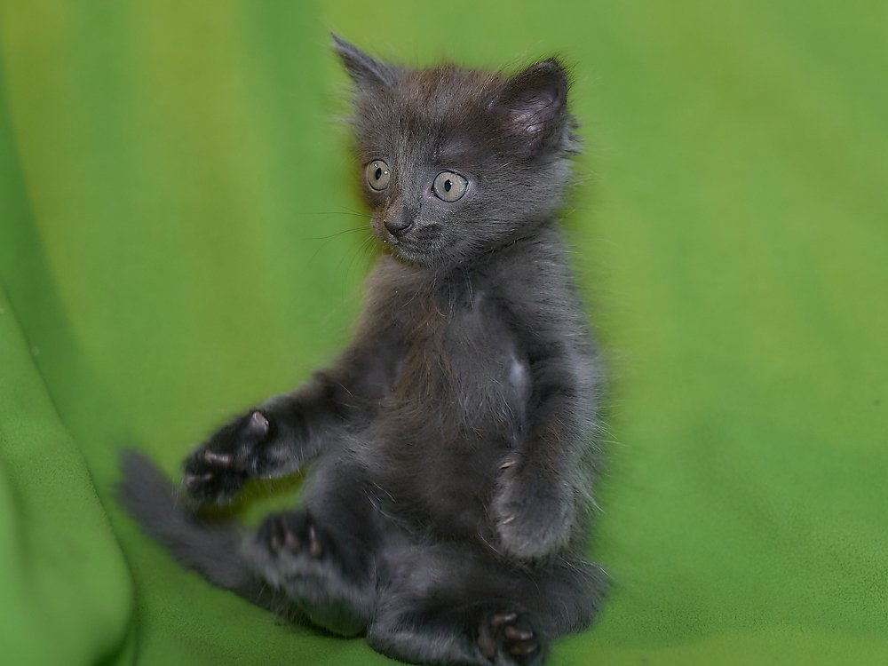 Photograph by Елена Мормоль