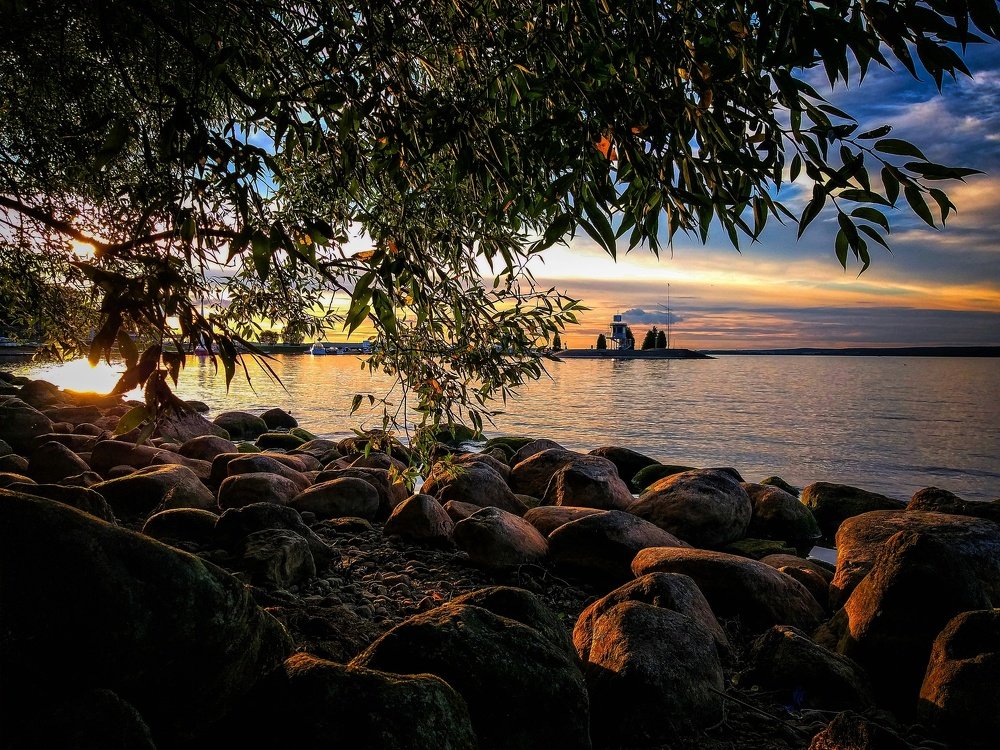 Photograph by Ольга Позняк