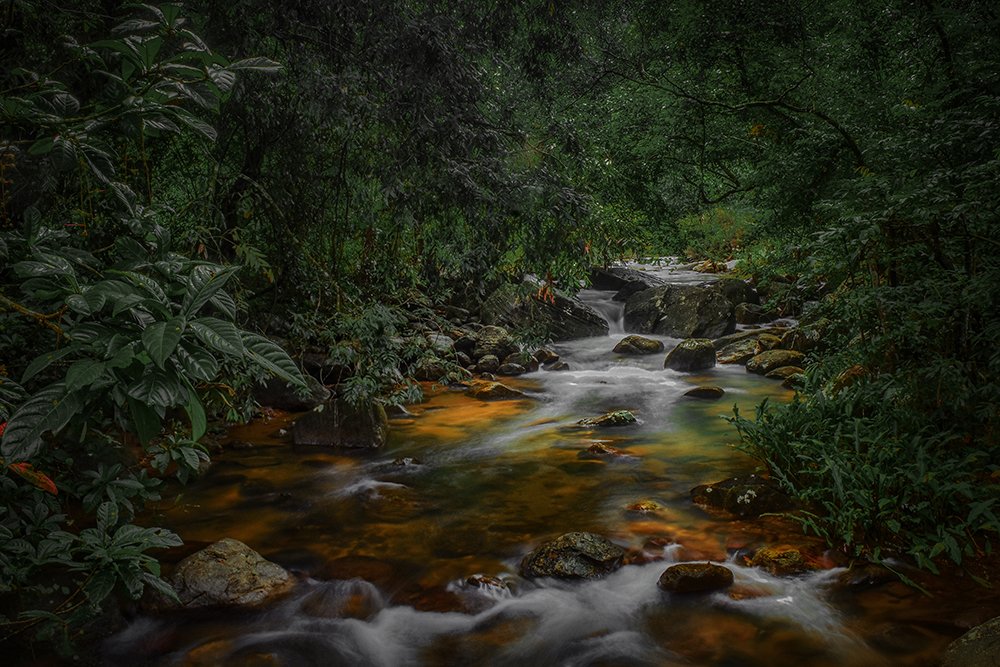 Photograph by Madhusha Senavirathna