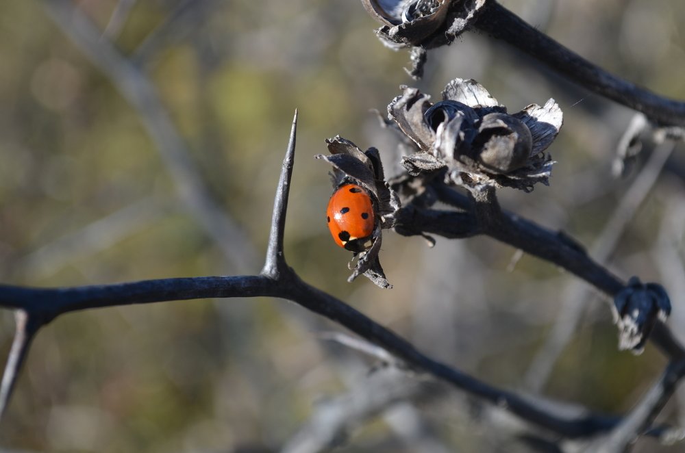 Лето продолжается