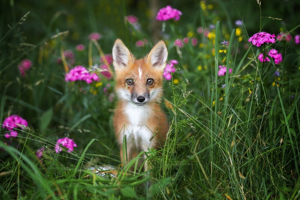 Photograph by Андрей Ершов