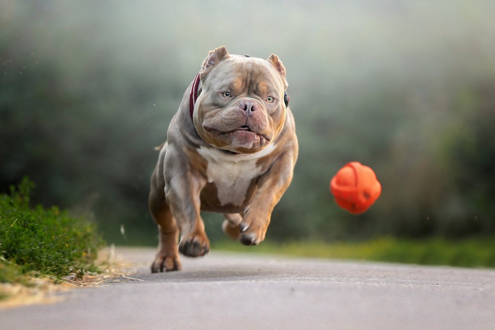 Photograph by Андрей Ершов