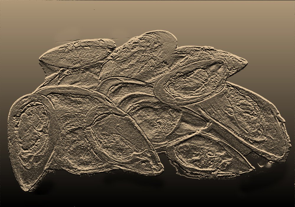 Photograph by Cesar Lorenzano