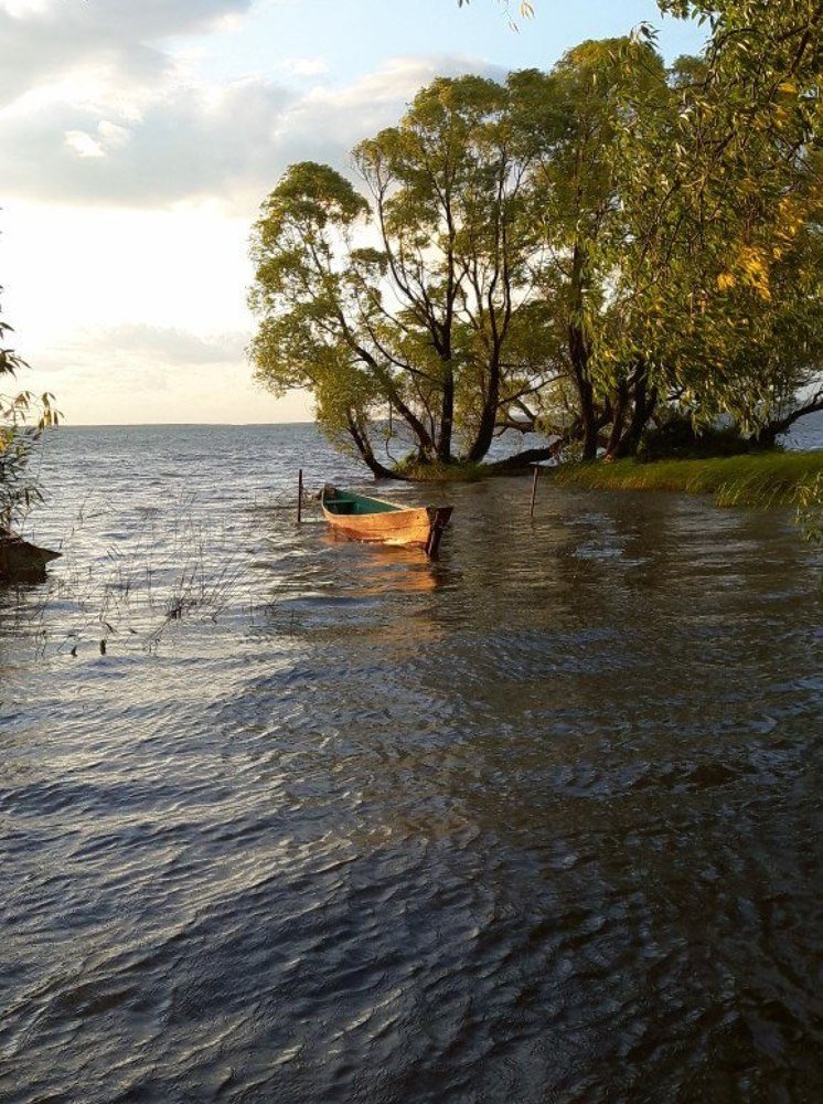 Фото картина