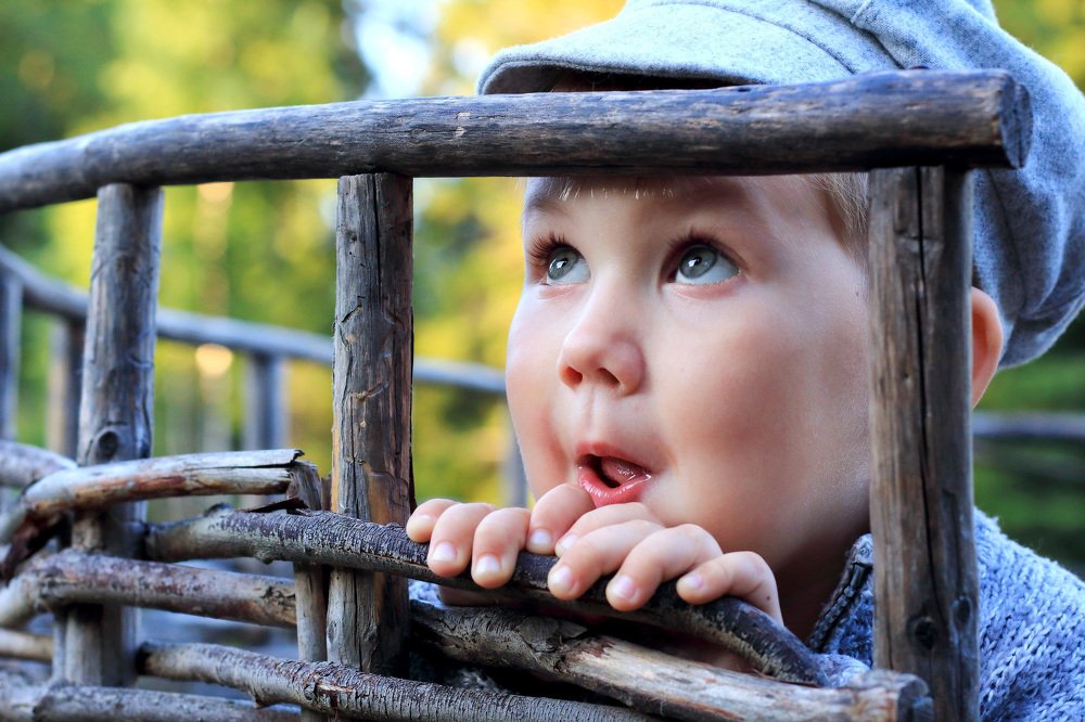 Photograph by Анастасия