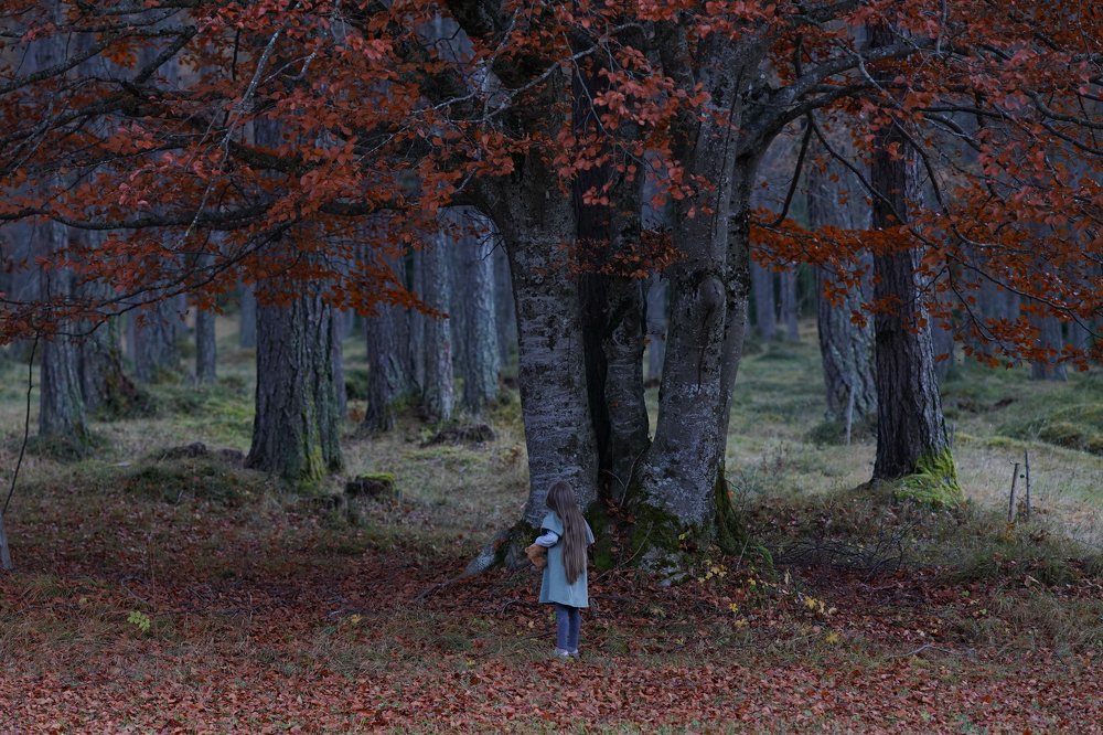 Photograph by Альвина Киричек