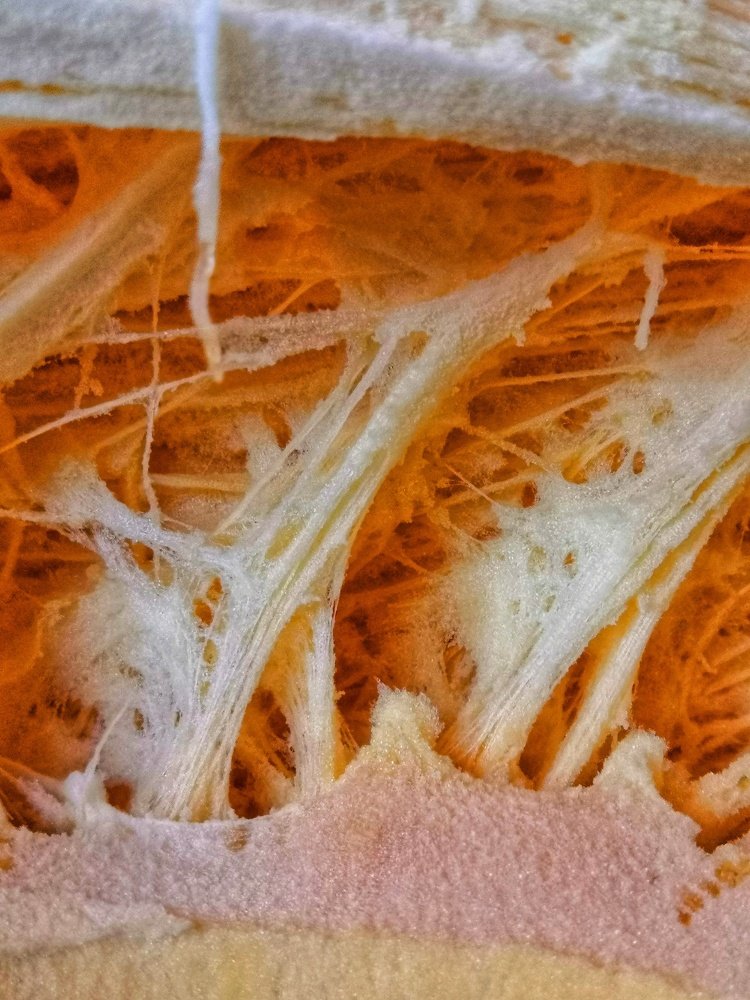 Фотография автора Dmitriy Sotnikov