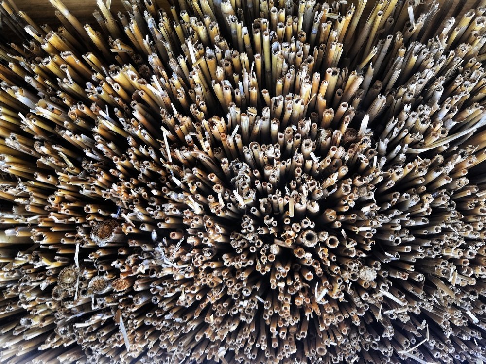 Фотография автора Dmitriy Sotnikov