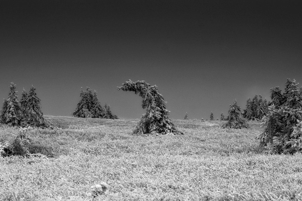 Photograph by Виктор Квасов