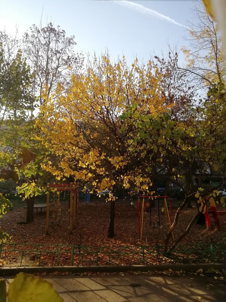 Photograph by Ольга Клименко