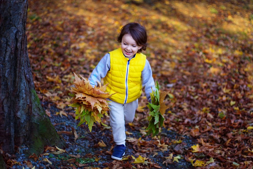 Photograph by Наталья Гайдар