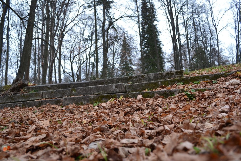 Осень в Муромцево