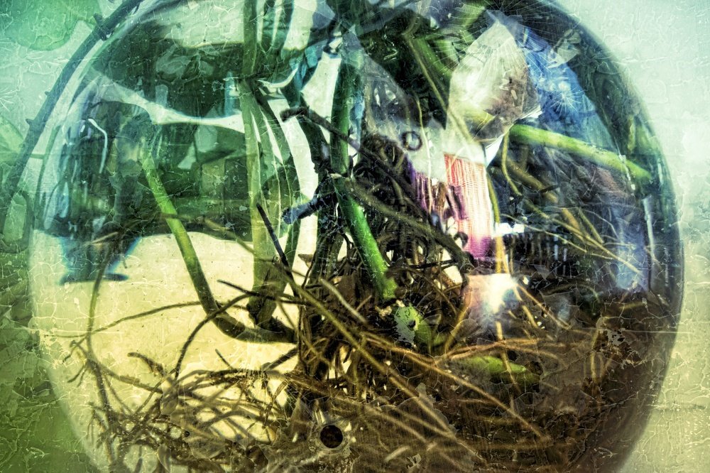 Photograph by Osama Khaleel