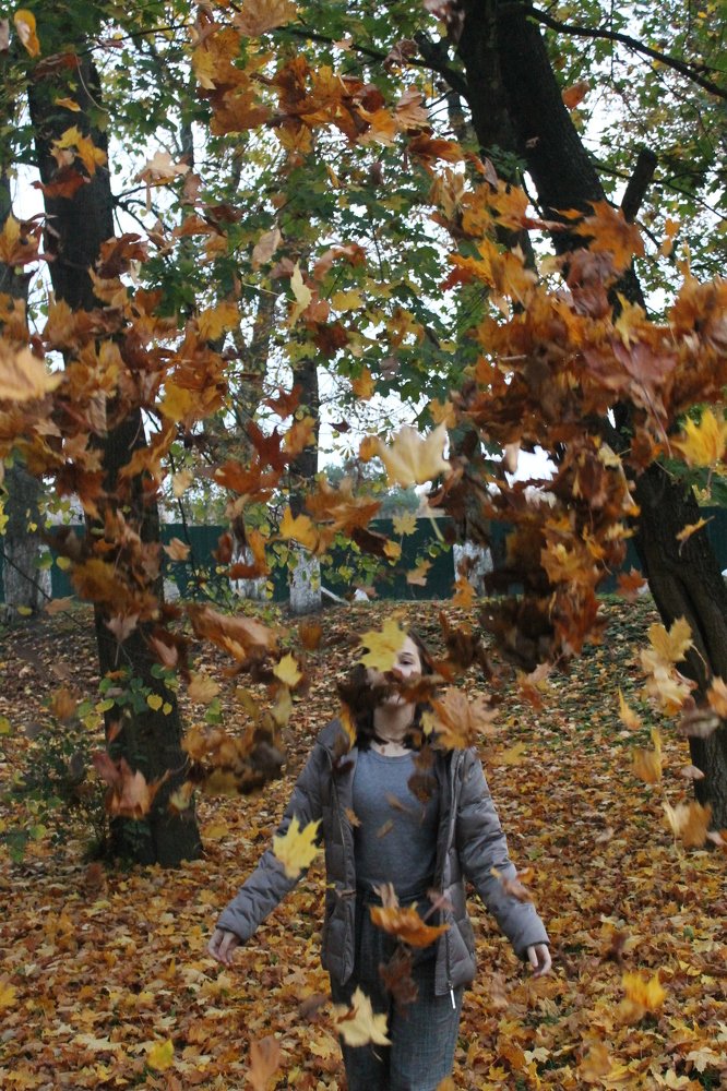 Осень прекрасное время года.