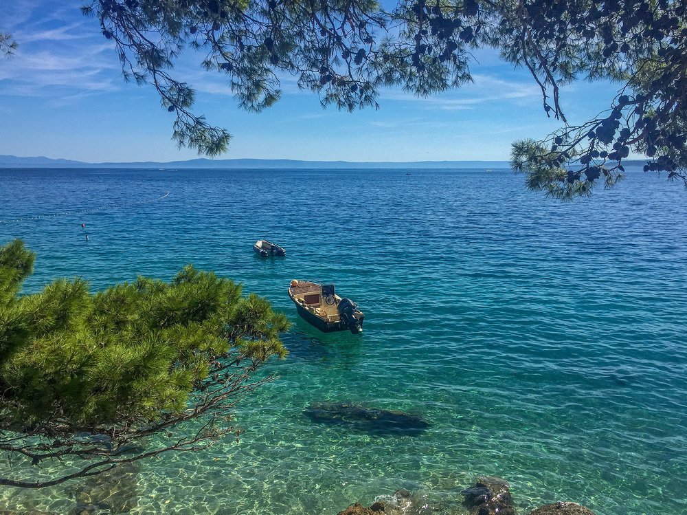 Photograph by Milica