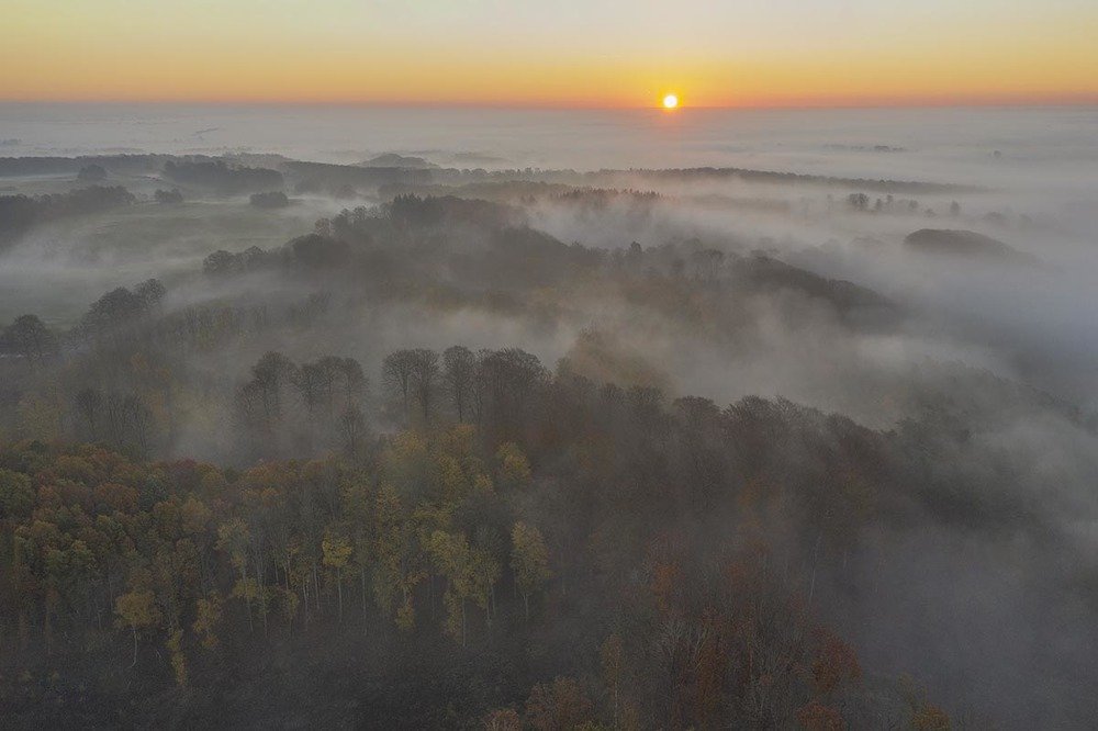 Photograph by Ernestas Balcikonis