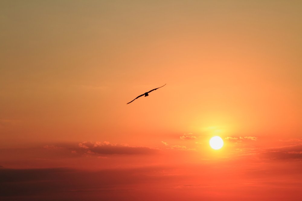 Photograph by Вадим Семенов