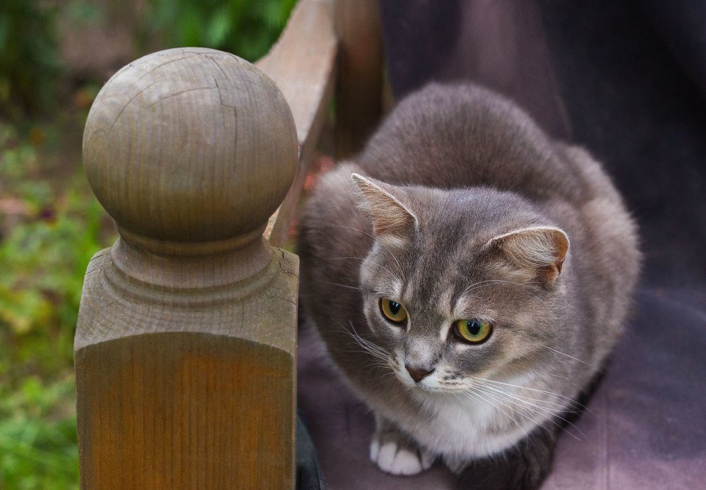 Photograph by Ольга