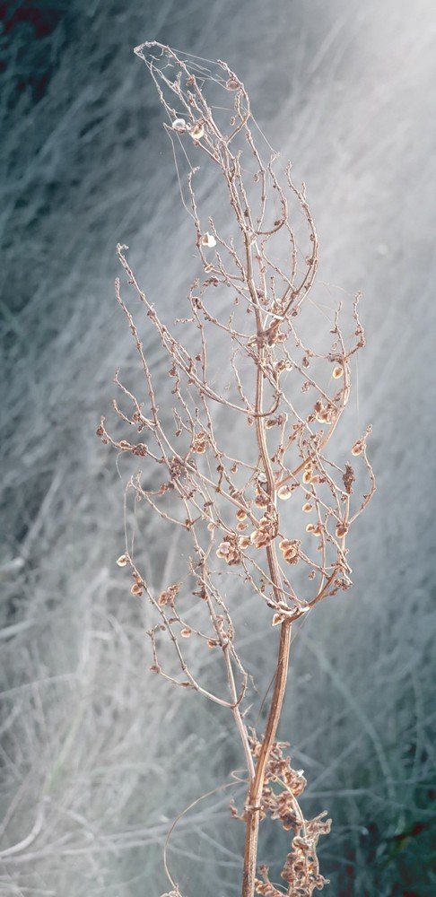 Photograph by Светлана Эленевич