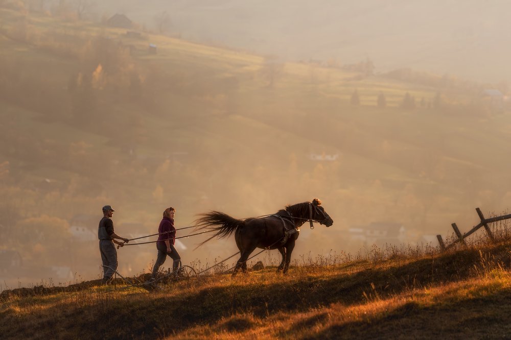Photograph by Ольга Рудченко