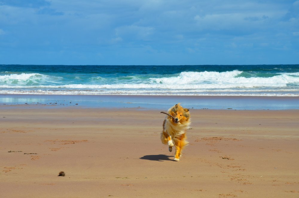 Photograph by LYUDMYLA POKRYSHEN