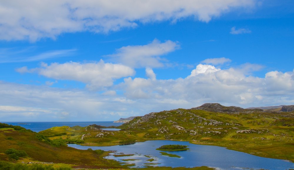 Photograph by LYUDMYLA POKRYSHEN