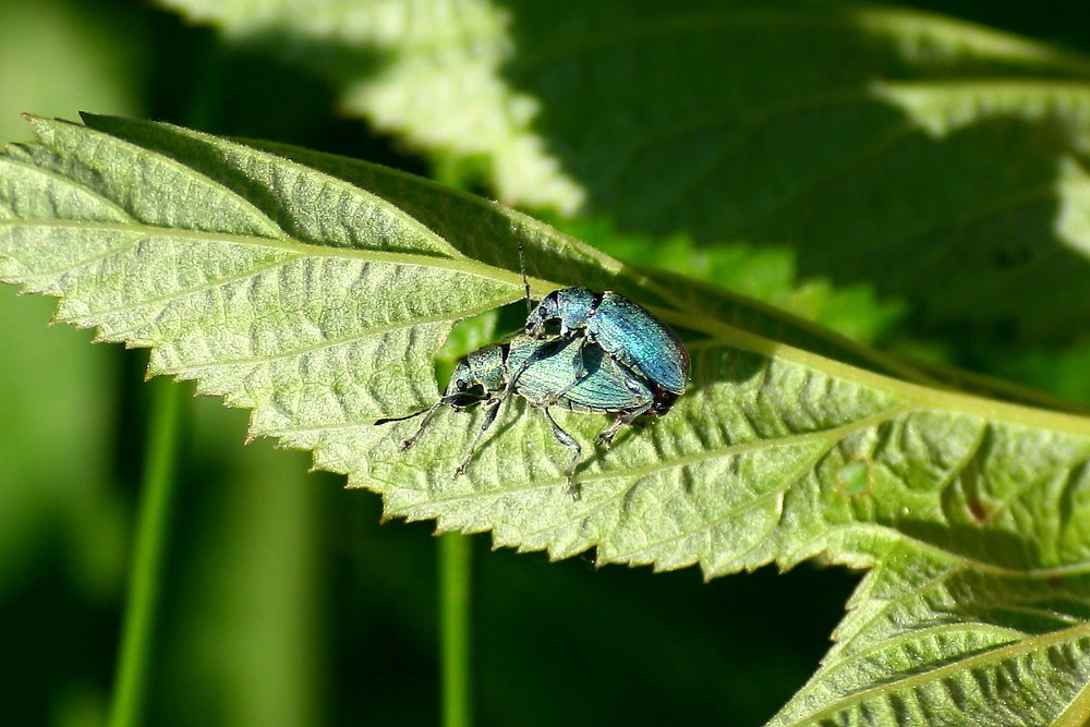 Photograph by Chev Photography