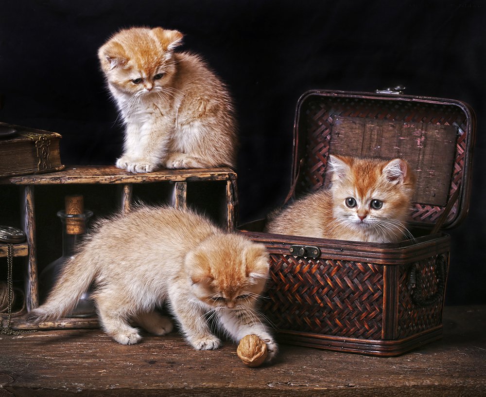 Photograph by Alexander Sviridov