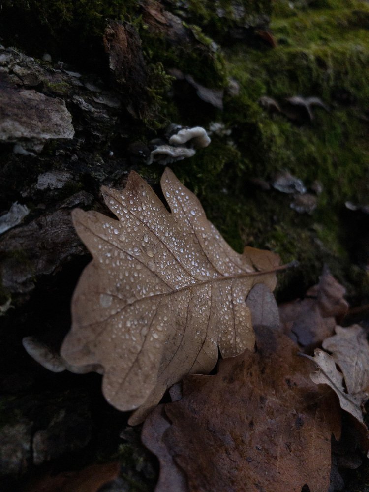 Photograph by Владислав Громов