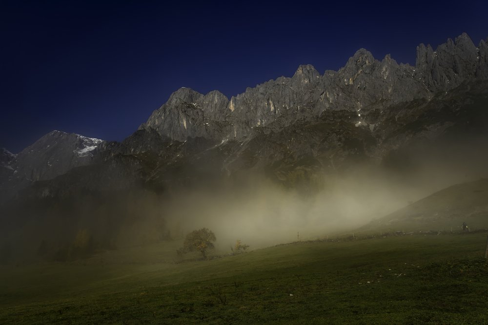 The lone Tree with the last leaves