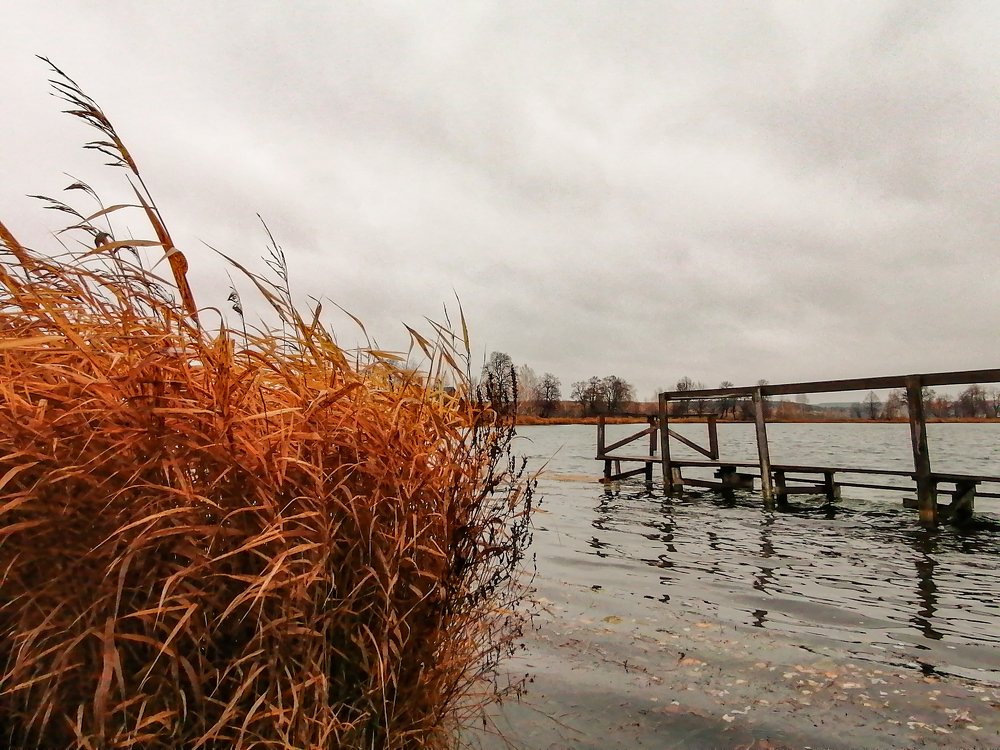 Photograph by Марина