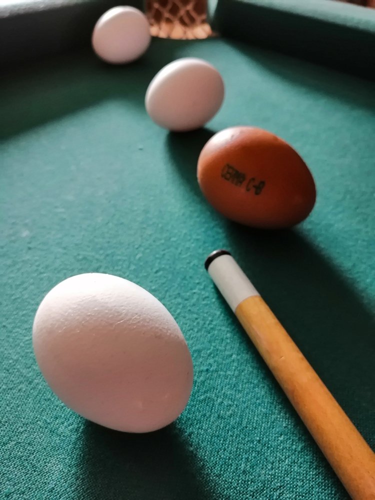 Photograph by Марина